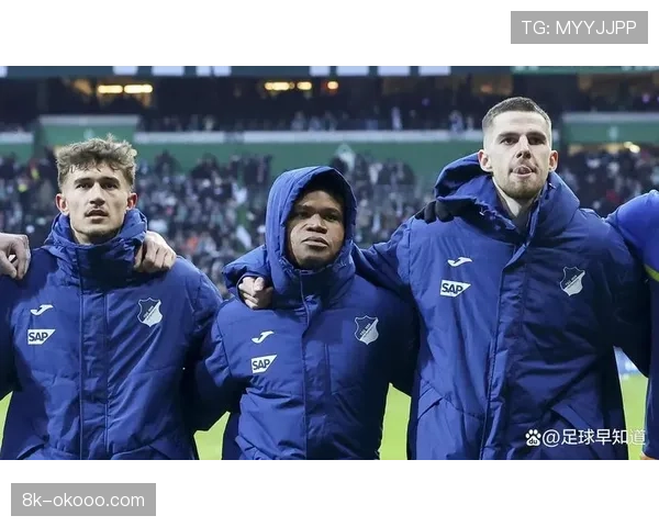 霍芬海姆赛季崛起之路，从保级队到争冠黑马